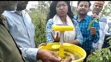 आईपीएम तकनीक बनी वरदान, महिलाएं सब्जियों की खेती से हो रहीं आत्मनिर्भर