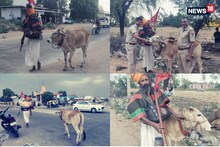 Karauli News: अयोध्या के संत के साथ केला मां की पदयात्रा पर निकली एक गौमाता, हर कोई हैरान