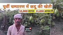 कद्दू की खेती ने किया मालामाल! 4 कट्ठा जमीन से हर महीने हो रही 33000 की कमाई