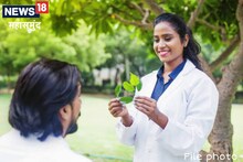 Career Tips: 12वीं के बाद आयुर्वेदिक डॉक्टर बनना है...तो ऐसे करें तैयारी, यहां जानें कैसा रहेगा भविष्य