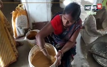 Begusarai News : बेगूसराय की यह महिला हरित खाद से कमा रही है मुनाफा, 15 महिलाओं को दे चुकी रोजगार