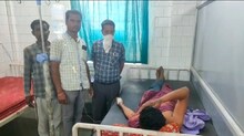 शादी के मंडप के लिए मड़वा डाल लेने गए युवक पर मधुमक्खियों ने किया हमला, घायल