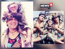न चंकी पांडे... न गोविंदा, 'आंखें' में सबसे ज्यादा पैसा लिया था बंदर...
