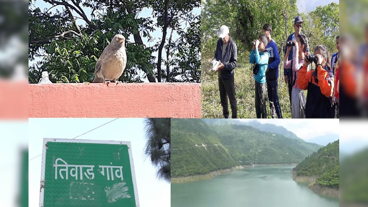 PHOTOS: बर्ड वाचिंग से टेंशन फुर्र! टिहरी झील के पास करें पंछियों का दीदार, तिवाड़ की बनी नई पहचान