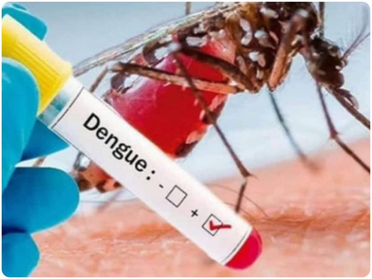 germs, West Nile, dengue, parasites, malaria