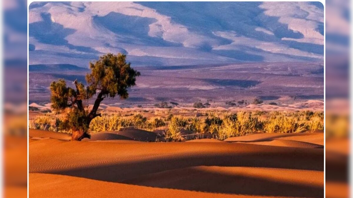 रेगिस्‍तान क्‍यों बनते हैं? क्‍या इन्‍हें फिर बनाया जा सकता है हरा-भरा, कैसे किया जा सकता है आबाद