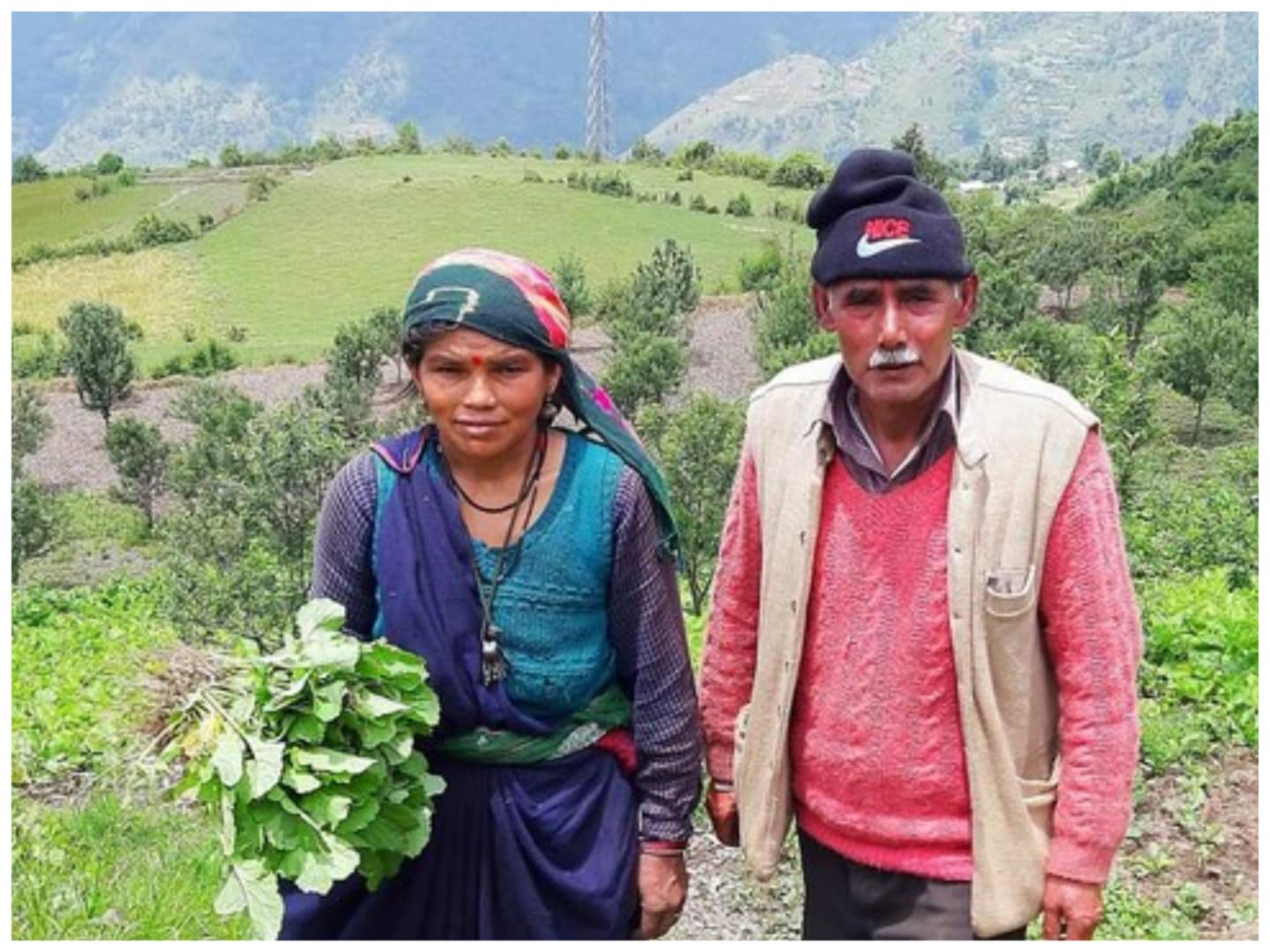 गजब का जज्‍बा: बुजुर्ग दंपति ने बंजर जमीन पर उगाईं कीमती जड़ी-बूटियां, लाखों की हो रही कमाई - Bachuli devi and pan singh bisht growing herbs on barren land chamoli uttarakhand –