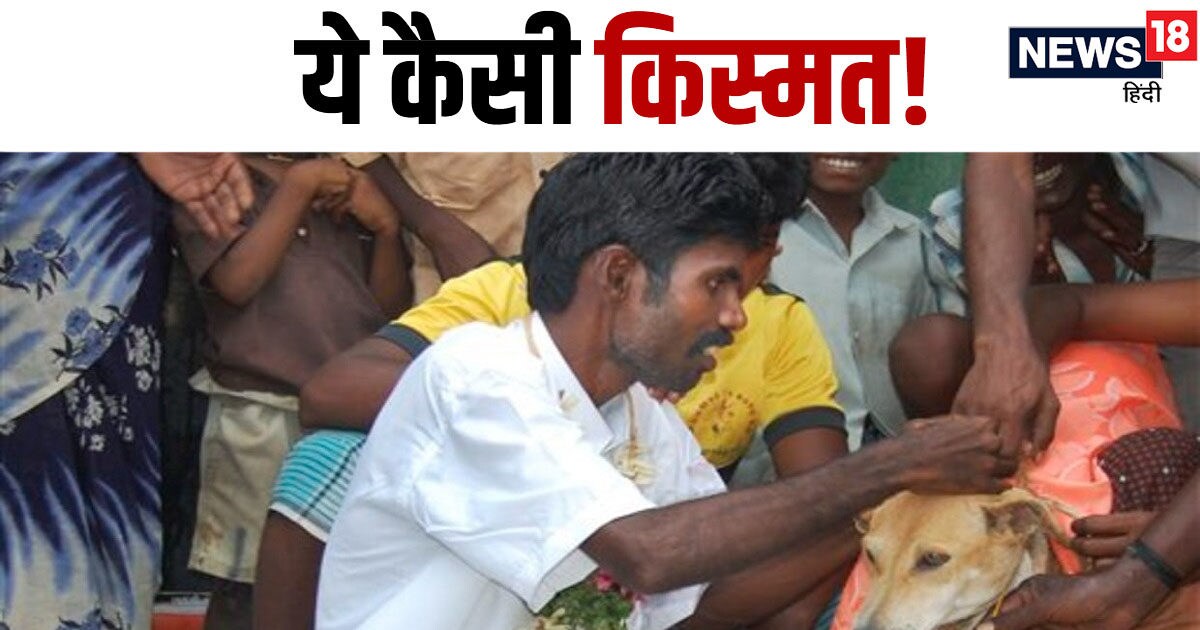 ये कैसी किस्मत! ओडिशा के इस गांव में लड़के की करा दी फीमेल डॉग से शादी
