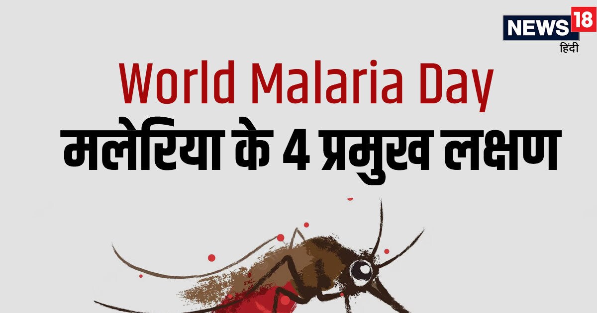 World Malaria Day 2023: 4 main symptoms are seen in malaria, protect yourself from mosquitoes, know important things