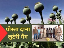 दिन में रेकी, रात में पोस्ता-डोडा की चोरी, अफीम की खेत से माल लूटता था गिरोह