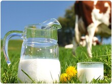 दूध सफेद क्‍यों होता है, गाय का दूध हल्‍का पीला क्‍यों? क्‍या कहता है विज्ञान?