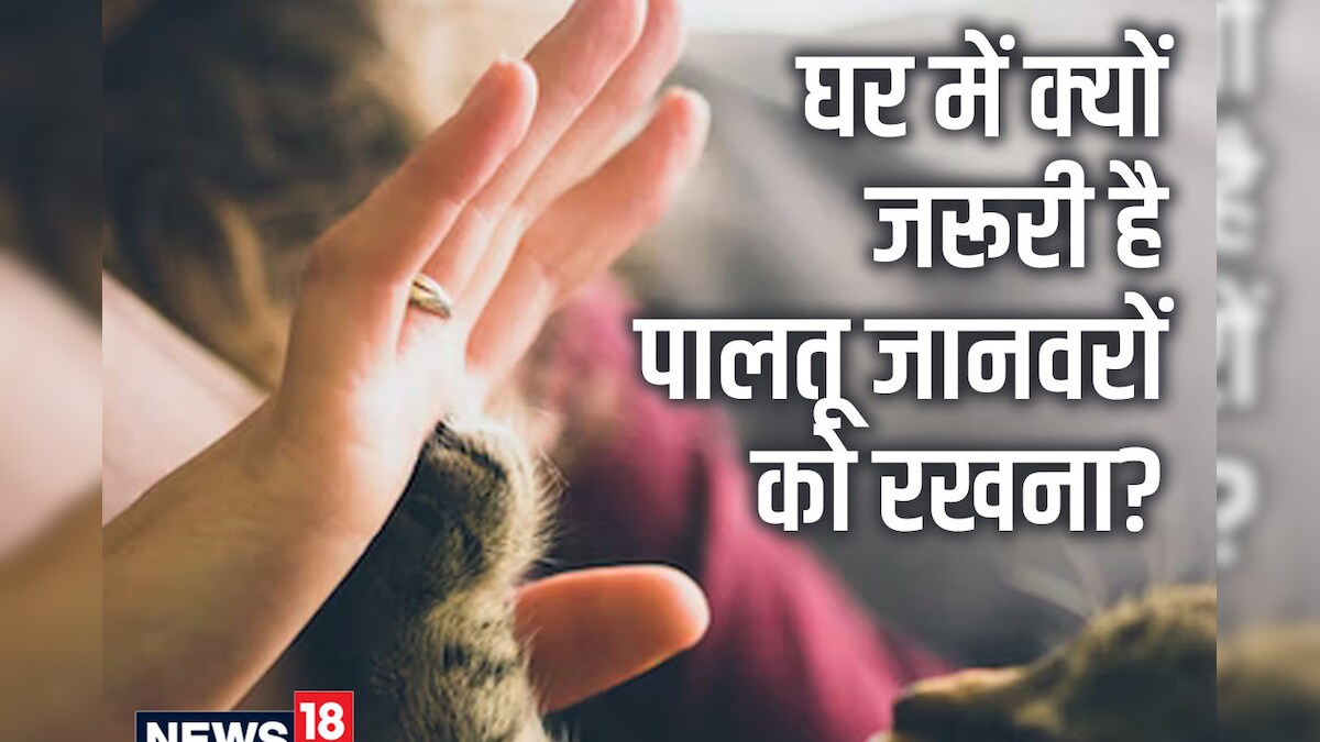 National Pet Day 2023: पेट्स रखने की क्‍यों दी जाती है सलाह? मेंटल हेल्‍थ के लिए किस तरह हैं फायदेमंद, जानें 4 वजह