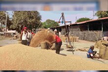 Karnal News : 1 अप्रैल से शुरू होनी थी गेहूं खरीद, अब तक मंडियों में बारदाना तक नहीं आया, समर्थन मूल्य 2125 रुपए