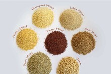 Healthy Food : मोटे अनाज होते हैं बेहद फायदेमंद, जानें खाने के फायदे