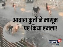 VIDEO: नागपुर में दिल दहलाने वाली घटना, कुत्तों ने मासूम पर दौड़ाकर किया हमला