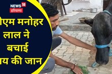 Sohna News: CM मनोहर लाल ने बचाई गाय की जान, गौपालक की चिट्ठी पढ़कर लिया ये एक्शन