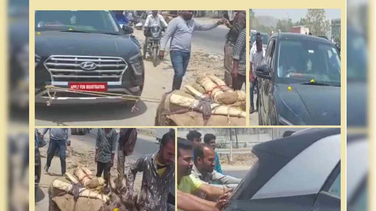 OMG! गधों से खिंचवाई नई कार, ढोल नगाड़े बजाकर निकाली रैली, जानें क्यों नाराज हुआ वाहन मालिक?