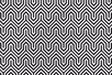 काली सफेद रेखाओं से बनी डिजाइन मे है चुनौती, तेज नजर वाले ही खोज पाएंगे जीव