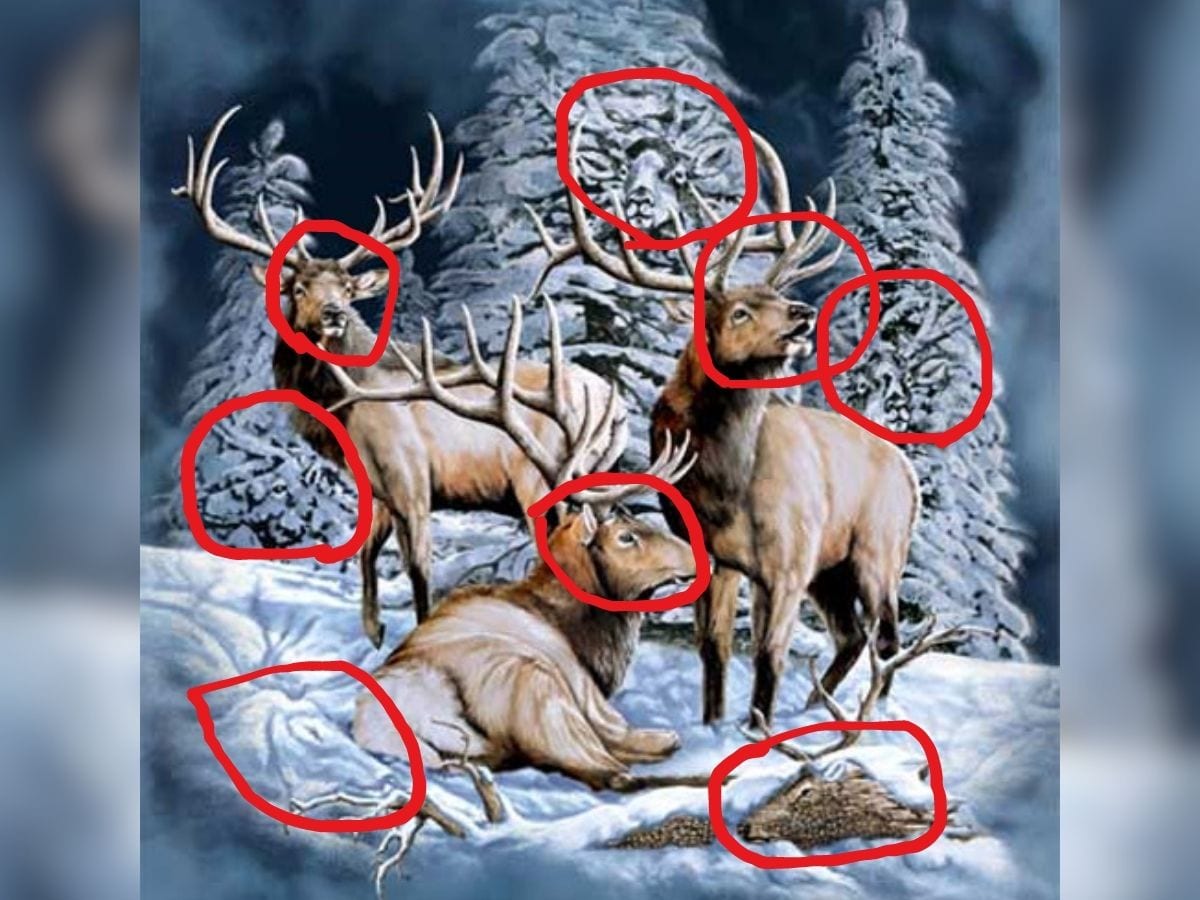 optical illusion photo