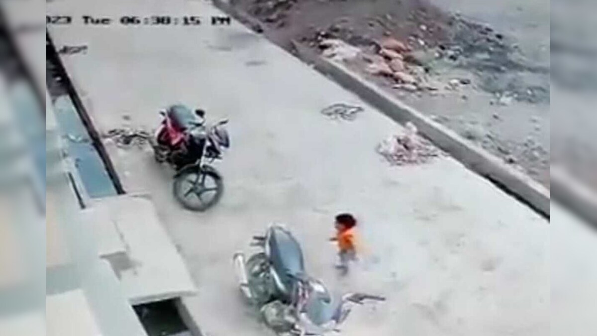 Viral Video: यह वीडियो देखकर नहीं होगा यकीन! 30 फीट से गिरी बच्ची, फिर जो हुआ उसने उड़ाए होश
