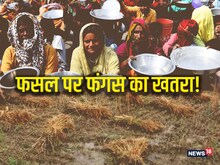 ...तो भूख से मर सकते हैं अरबों लोग!, कोरोना के बीच दुनिया के सामने नया खतरा