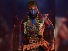 David Warner ने अल्लू अर्जुन को किया कॉपी, फैंस को दिखाया पुष्पा 2 का नया लुक