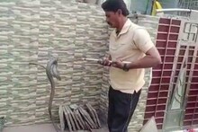 VIDEO: कॉलोनी में अचानक निकला 4 फीट लंबा काला कोबारा, फन फैलाकर लगा फुफकारने, देखते ही भागने लगे लोग