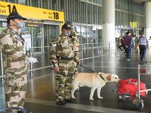 कितने साल की होती है CISF में नौकरी ? CRPF और BSF से कितना अलग है काम?