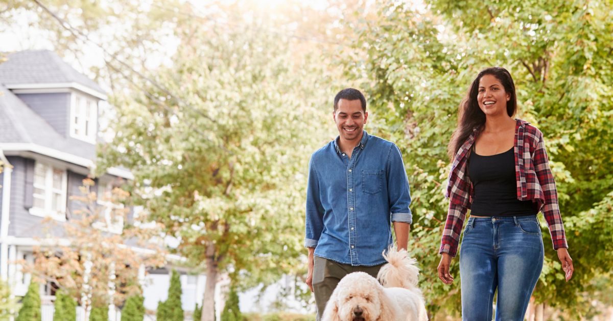 मुफ्त में लोगों के कुत्ते टहलाता है कपल, फिर भी हो गया अमीर, अब खरीदने