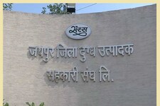 Employment: जयपुर में 1012 डेयरी बूथ के लिए आए 26 हजार आवेदन
