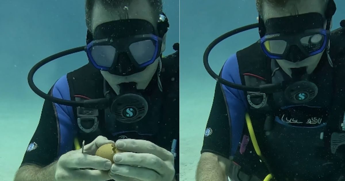 Viral Video जब शख्स ने पानी के अंदर तोड़ा अंडा! हाथ से पकड़ने की करता रहा कोशिश, देखने लायक है