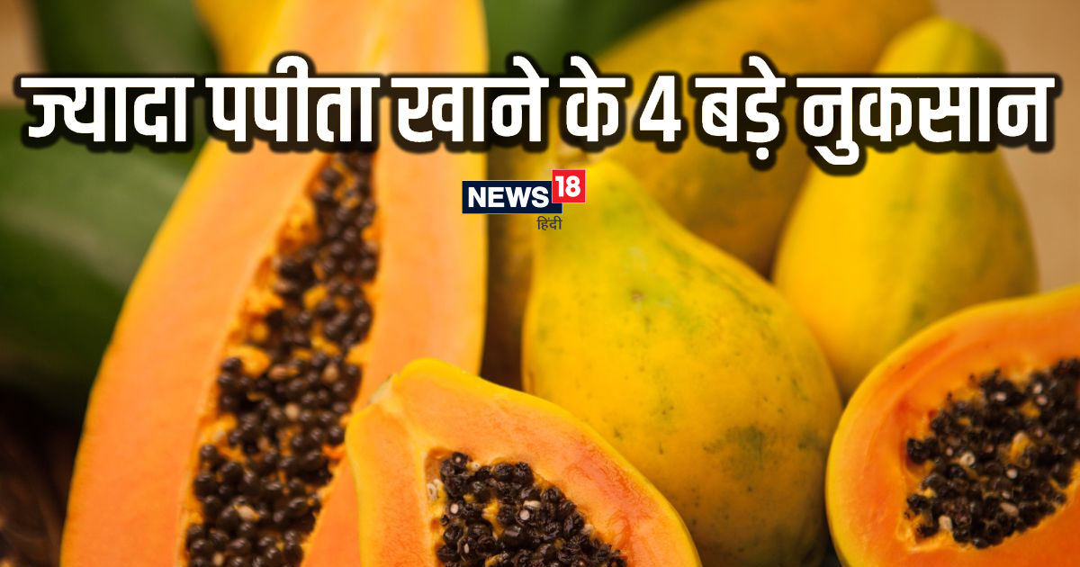 papaya 04 20 01 1