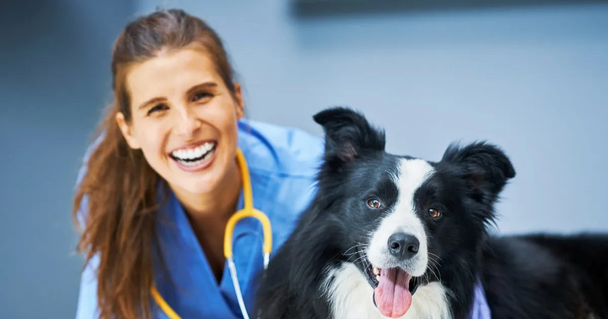 Veterinary Doctor कैसे बन सकते हैं पशु डॉक्टर, क्या करना होगा कोर्स