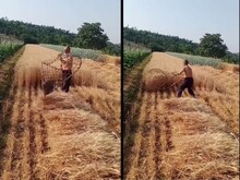 Viral Video: किसान ने किया कमाल का जुगाड़, फसल काटने के लिए बनाया गजब यंत्र