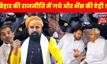 Breaking  : Bihar की राजनीति में गधे और भैंस की एंट्री ! Top News | Hindi News| Latest News