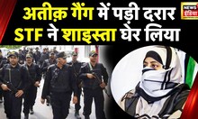 UP STF  के जाल में फंसे Guddu और Shaista? | Prayagraj News | UP News | Atiq Murder Case | News18