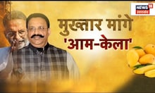 Mukhtar Ansari News Update: माफिया पड़ा अकेला, Jail में मांगे आम और केला। Latest News। Hindi News