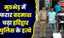 Uttarakhand News: Haridwar Police ने मुठभेड़ में फरार बदमाश को दबोचा। Encounter। Hindi News