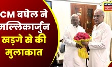 CM Bhupesh Baghel ने Congress President Mallikarjun Kharge से की मुलाकात | Rahul Gnadhi | CG News