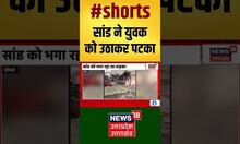 Sambhal में आवारा सांड ने युवक को उठाकर पटका । Viral #shorts