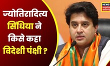MP Elections: Jyotiraditya Scindia ने किसे कहा विदेशी पंक्षी से सावधान ? Congress | BJP | Kamal Nath