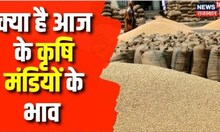 Rajasthan Mandi Bhav Today | आज अन्नदाता में जानिए कृषि मंडियों के बजार भाव | Commodity Market Rate