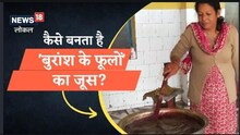 Almora News : औषधीय गुणों का खजाना है बुरांश, दिल से लेकर लिवर को स्वस्थ रखता है,जानिए जूस निर्माण की प्रक्रिया