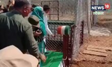 Shivpuri News : माधव राष्ट्रीय उद्यान में गूंज सकती है नन्हें शावकों की किलकारी, बाघिन की गतिविधियों से लगाया जा रहा अनुमान