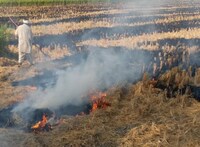 Madhubani News : यह गलती करने पर किसानों को नहीं मिलेगा सरकारी लाभ, खेत को भी होगा नुकसान