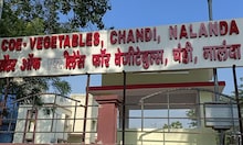 OMG! अब हवा में उगेगी सब्जी, नालंदा में लगा एरोपोनिक यूनिट, जानिए क्या है यह तकनीक