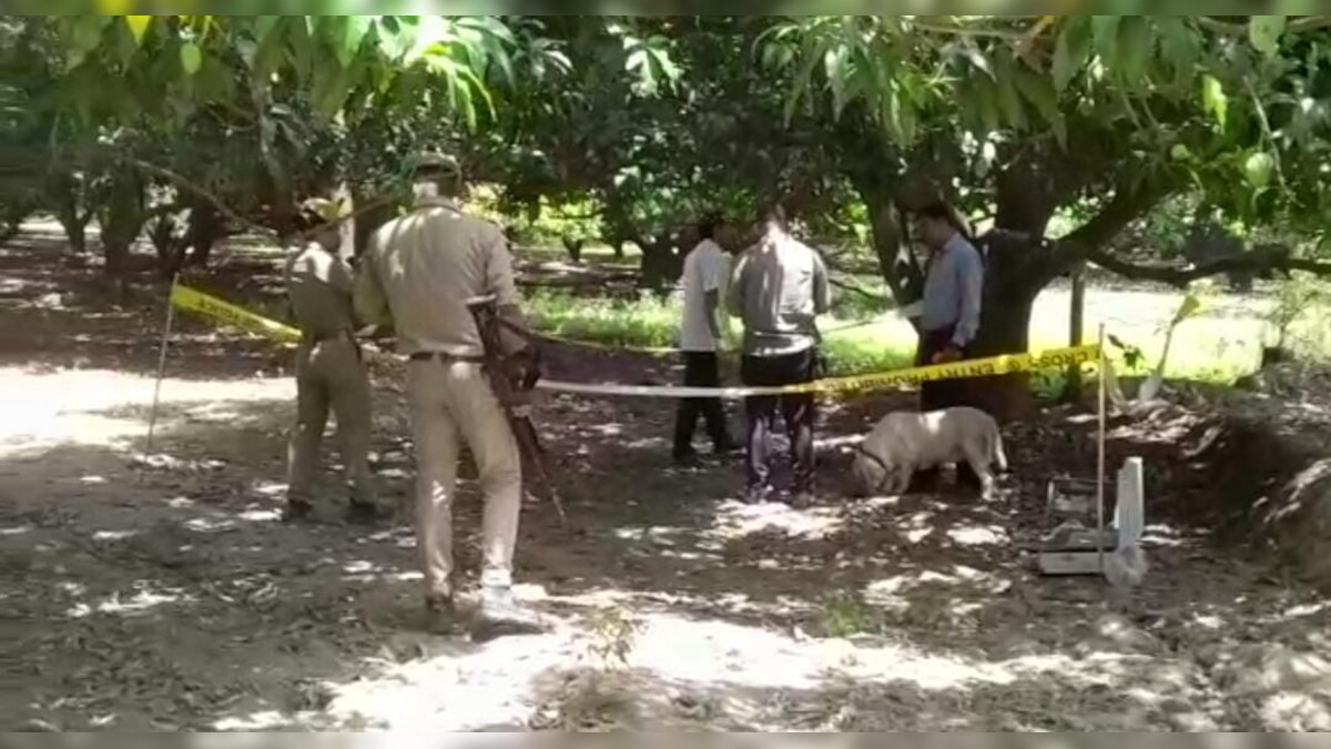 उन्नाव में झूठी शान में प्रेमी जोड़े की गई जान! बाग में लटकता मिला युवक-युवती का शव उन्नाव में झूठी शान में प्रेमी जोड़े की गई जान! बाग में लटकता मिला युवक-युवती का शव