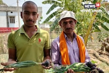 बिहार में पहली बार हुई काले प्याज की खेती! बीज के लिए पूर्णिया-मधुबनी के किसानों की लगी लाइन, जानें खासियत