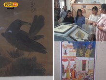 बीएचयू में लगी अनोखी प्रदर्शनी, पेंटिंग के जरिए बता रहे पक्षियों का दर्द