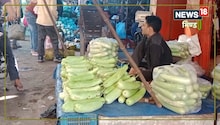 Bhind News: भिंड में बेमौसम बारिश से सब्जियां सस्ती! रेट जानकर दंग रह जाएंगे